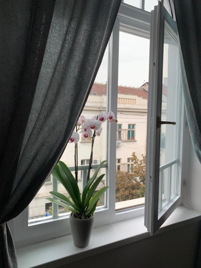Dragonfly Residence 베오그라드 외부 사진